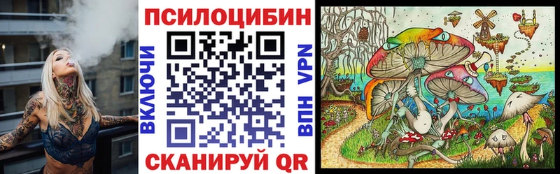 Псилоцибиновые грибы Cubensis  хочу наркоту  Ульяновск 